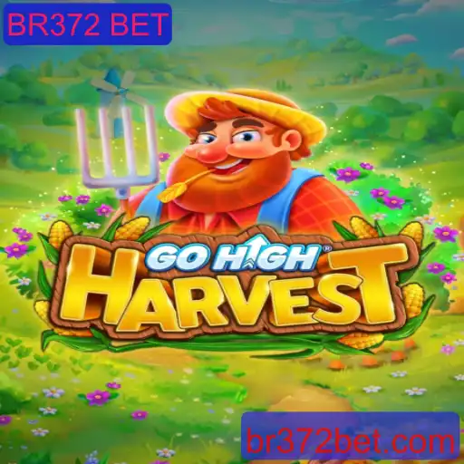 Descubra GoHighHarvest: O Fenômeno de Jogo que Está Transformando a BR372 BET