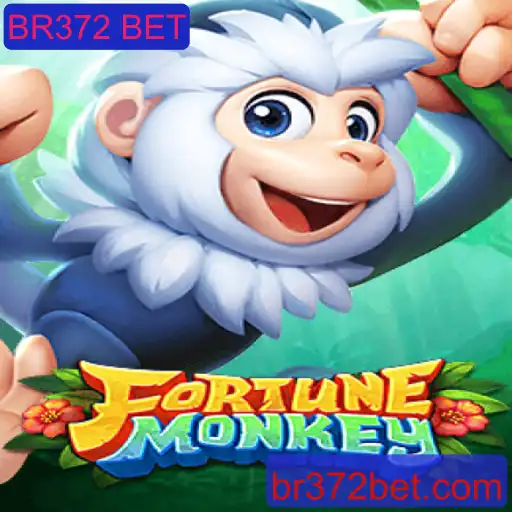 FortuneMonkey: Uma Aventura de Apostas Inovadora com BR372 BET